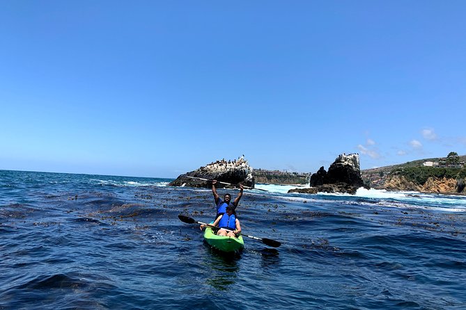 Laguna Beach Open Ocean Kayaking Tour with Sea Lion Sightings - Beginner-friendly technique and safety with guides who teach
