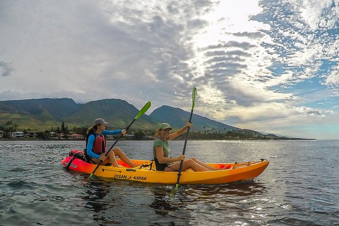 Lahaina Kayak and Snorkel Excursion - Key Points Before You Go