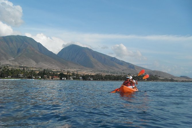 Lahaina Kayak and Snorkel Excursion - Logistics That Actually Matter (and What to Watch)