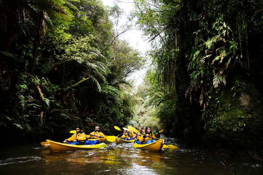 Lake Karapiro: Evening Kayak Glowworm Tour - Why Pokaiwhenua Glowworms Feel Special on Lake Karapiro
