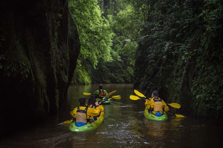 Lake Karapiro: Evening Kayak Glowworm Tour - Up the Pokaiwhenua Stream: Canyon Paddling, Ferns, Birds, and Trout Hints