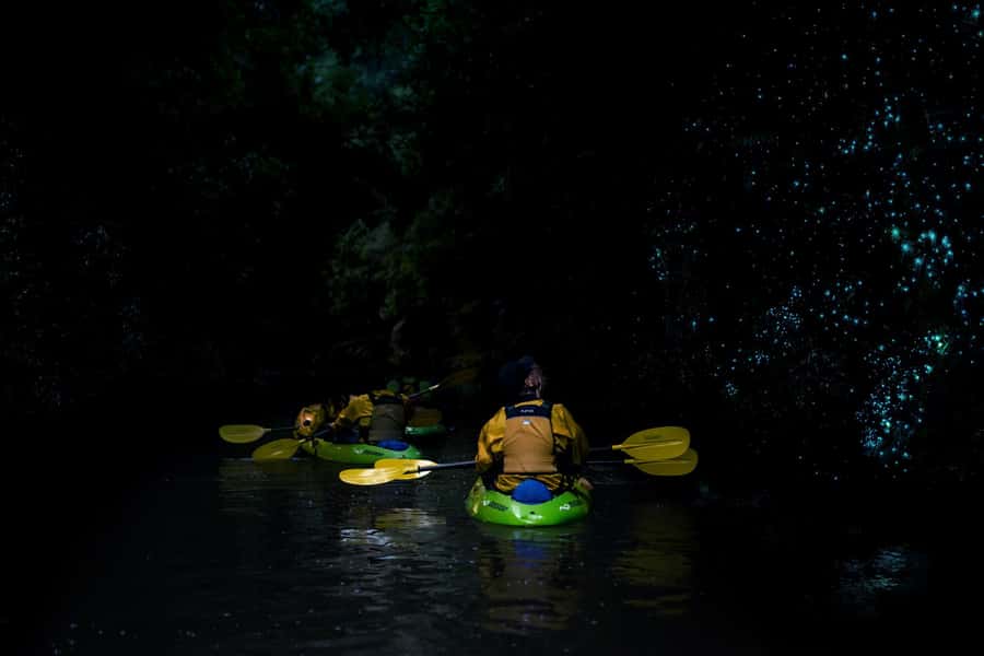 Lake Karapiro: Evening Kayak Glowworm Tour - Price and Value: Is $89 Fair for 3.5 Hours of Kayak Glowworms?