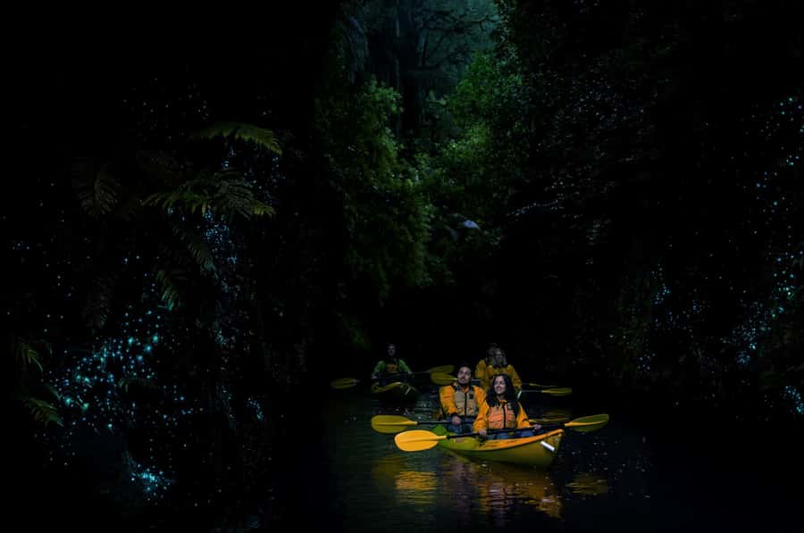 Lake Karapiro: Evening Kayak Glowworm Tour - Who This Tour Is Best For (And Who Should Rethink It)