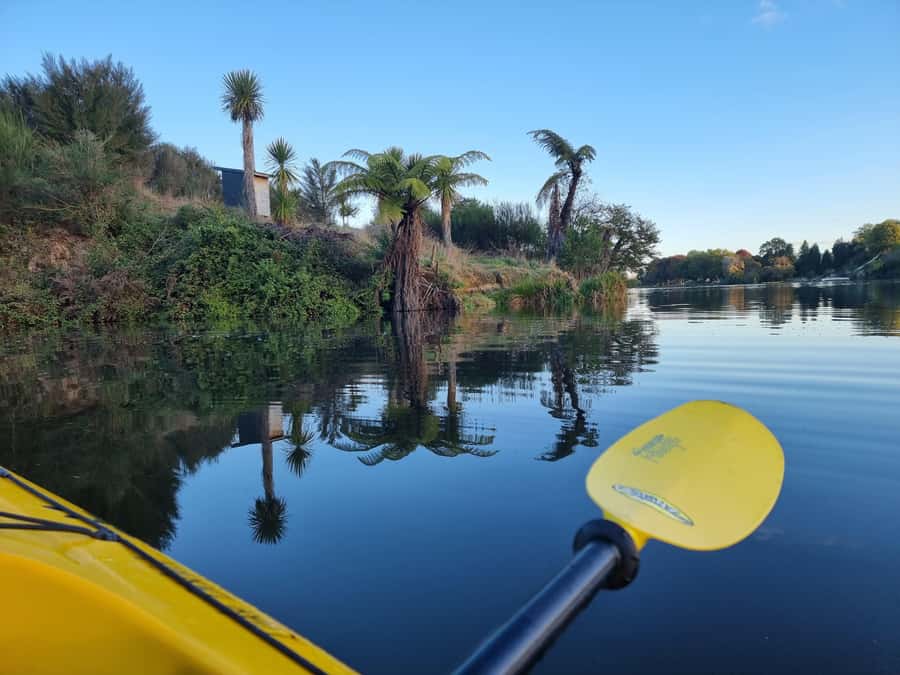 Lake Karapiro: Evening Kayak Glowworm Tour - Should You Book This Lake Karapiro Evening Kayak Glowworm Tour?