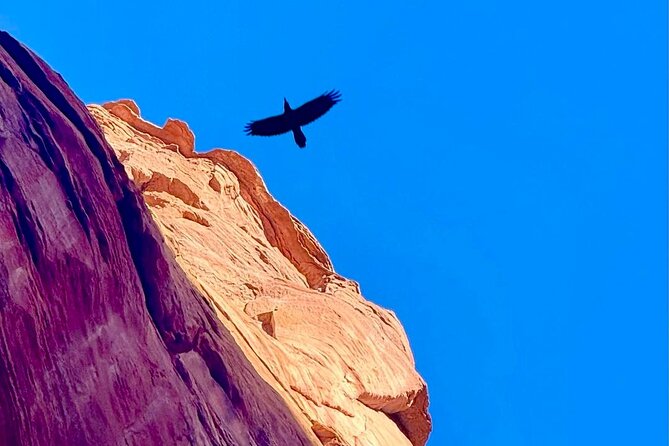 Lake Powell Kayak and Water Antelope Canyon Hike Guided Tour - Safety and gear: the rules that keep the day fun