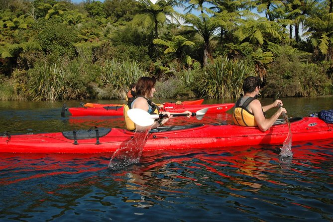 Lake Rotoiti Evening Kayak Tour including Hot Springs, Glowworm Caves and BBQ Dinner - Sunset reflections and night paddling: the part that feels most like Rotorua