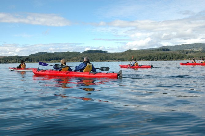 Lake Rotoiti Guided Hot Pools Kayak Trip - Glow worms cave option: a nice bonus, not the foundation