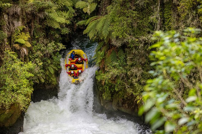 Lake Rotoiti Guided Hot Pools Kayak Trip - Who this is best for (and who should rethink it)