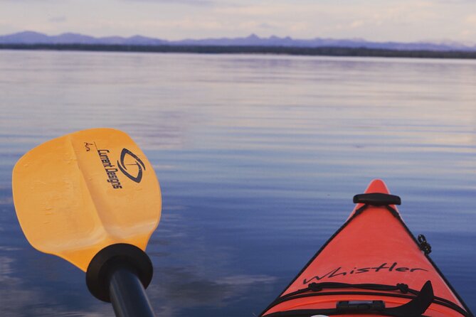 Lake Yellowstone Half Day Kayak Tours Past Geothermal Features - What Paddling Really Means Here: Cold Water, Balance, and Timing