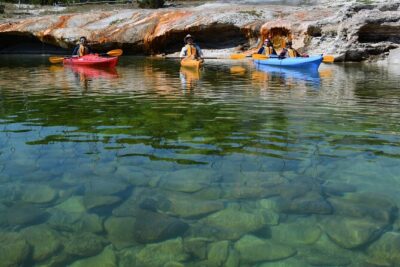 Lake Yellowstone Half Day Kayak Tours Past Geothermal Features - Grant Village Marina Start: Smooth Check-In and Ready-to-Go Equipment