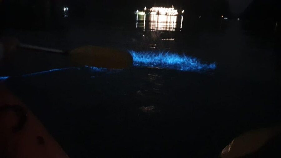 Lan Ha Bay: Sunset & Plankton Bioluminescent Night Kayaking - What the floating village stop means (and how to get more from it)