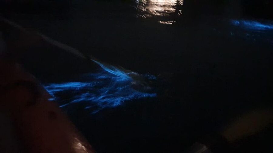 Lan Ha Bay: Sunset & Plankton Bioluminescent Night Kayaking - Who should book this Lan Ha Bay night kayak?