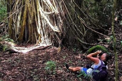 Land Tour 2: Discover the North - Kayaking & Starfish beach Phu Quoc (Not Lunch) - Phu Quoc National Park: A Short Forest Walk with Big-Tree Energy