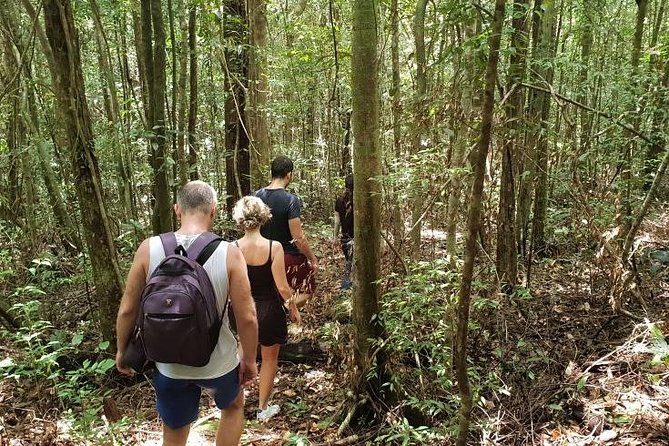 Land Tour 2: Discover the North - Kayaking & Starfish beach Phu Quoc (Not Lunch) - Cua Can Kayaking: The 45 Minutes That People Actually Remember