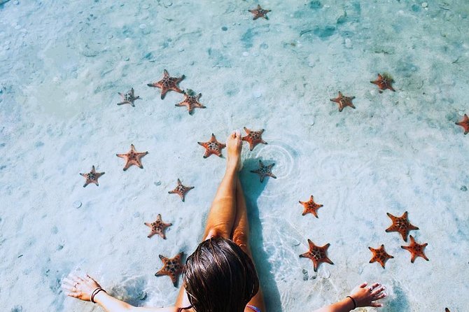 Land Tour 2: Discover the North - Kayaking & Starfish beach Phu Quoc (Not Lunch) - Bee Farm Stop: Small, Interesting, and Closed on Key Days