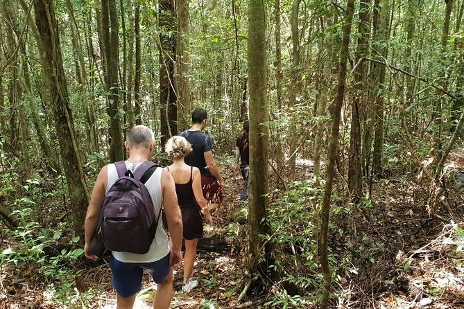 Land Tour 2: Discover the North - Kayaking & Starfish beach Phu Quoc (Not Lunch) - Guide Style Matters on This Route