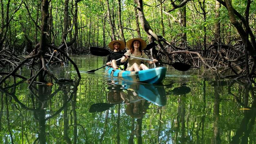 Langkawi : Kilim Geoforest Mangrove Kayak Tour with Lunch - Why Kilim mangroves feel different from the usual boat trips