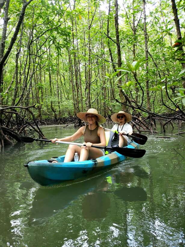 Langkawi : Kilim Geoforest Mangrove Kayak Tour with Lunch - The optional bat cave bonus and what it adds to the day