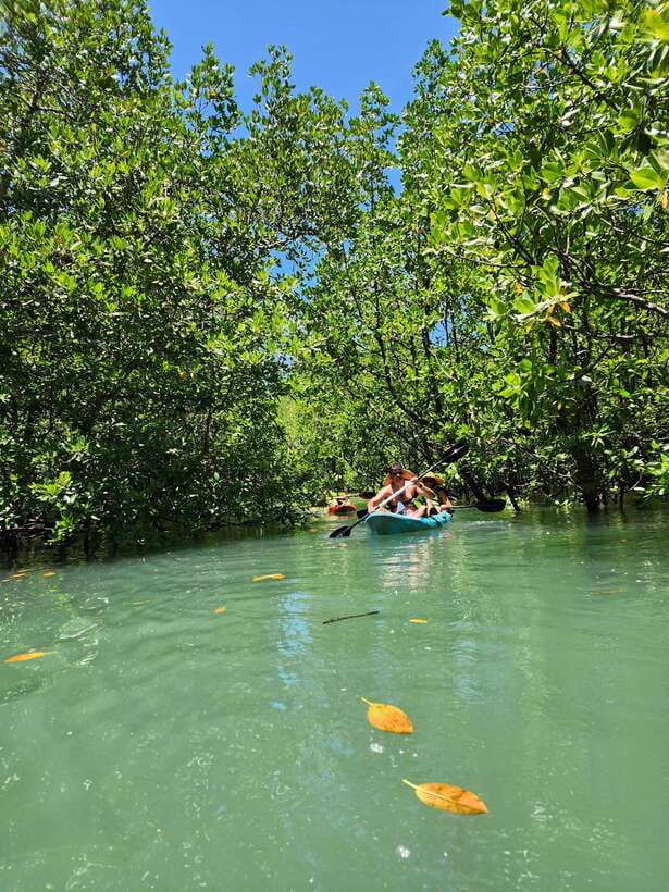 Langkawi : Kilim Geoforest Mangrove Kayak Tour with Lunch - Lunch on a floating restaurant: what you’ll actually eat