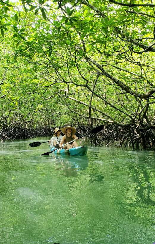 Langkawi : Kilim Geoforest Mangrove Kayak Tour with Lunch - Price and value: is $59 a smart buy?
