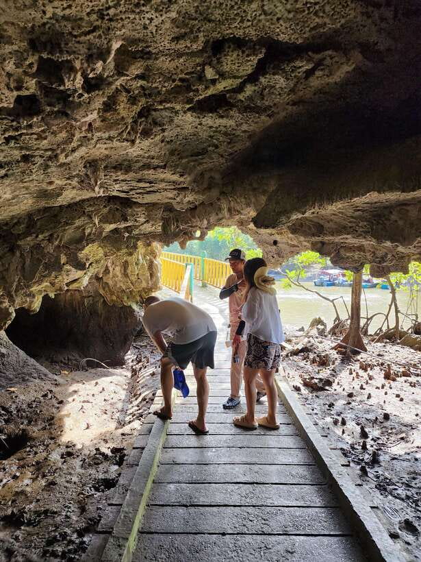 Langkawi : Kilim Mangrove Boat & Fun Kayak Tour with Lunch - Key moments you’ll care about
