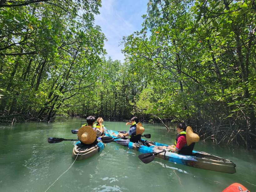 Langkawi : Kilim Mangrove Boat & Fun Kayak Tour with Lunch - Mangrove river cruise: the easy way to learn the ecosystem