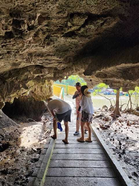 Langkawi : Kilim Mangrove Boat & Fun Kayak Tour with Lunch - Bat cave visit: why cave stops add more than a photo moment