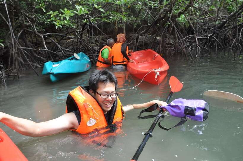 Langkawi: Kilim River Mangrove Safari Kayaking Tour - The bat cave stop: insect-eating bats in their own space