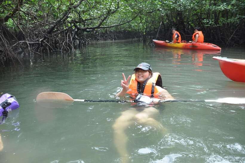 Langkawi: Kilim River Mangrove Safari Kayaking Tour - Getting back: timing, transfers, and why being on time helps