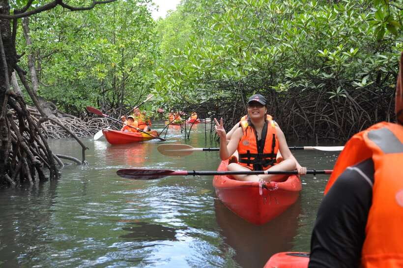 Langkawi: Kilim River Mangrove Safari Kayaking Tour - Price and value: what you’re paying for at $71