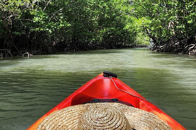 Langkawi Mangrove Kayak Tour by Sham - Meet-Up and the 4-Hour Rhythm: What Your Time Actually Looks Like