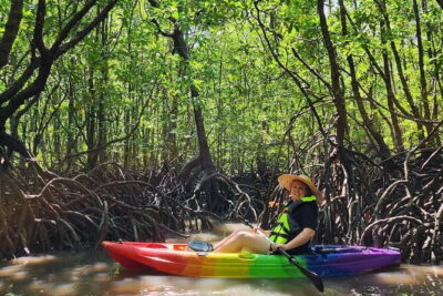 Langkawi Mangrove Kayak Tour by Sham - Back-Support Kayaks and Safety Gear: Comfort Is the Real Upgrade
