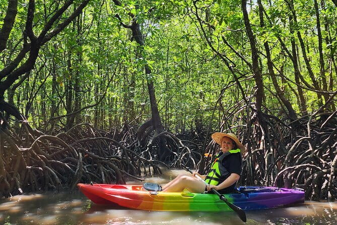 Langkawi Mangrove Kayak Tour by Sham - Back-Support Kayaks and Safety Gear: Comfort Is the Real Upgrade