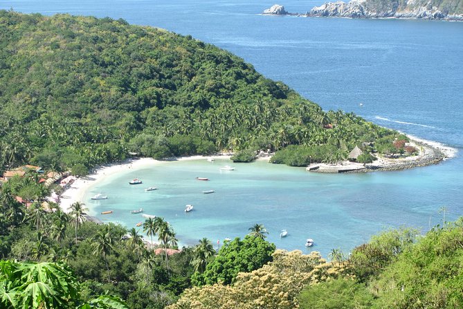 Las Gatas Kayaking and Snorkeling Tour - The ride back to La Ropa Beach: finishing while you still feel good