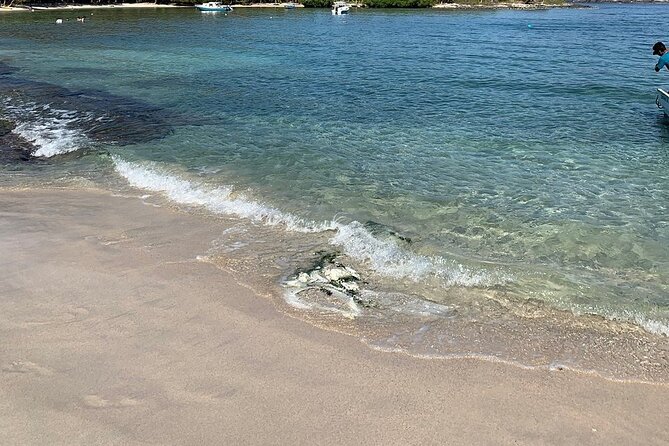 Las Gatas Kayaking and Snorkeling Tour - Who this tour suits best (and who should rethink it)