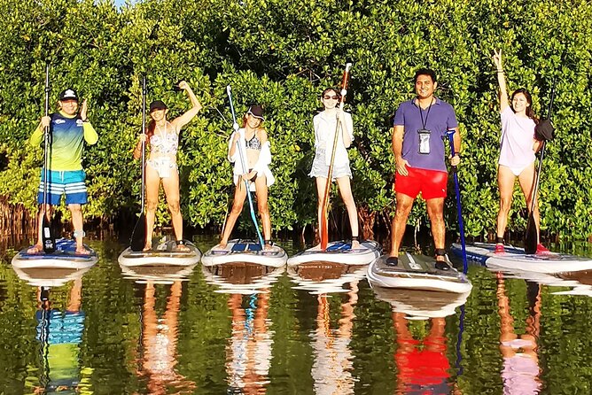 Learn Paddle Board and Explore the Mangroves of Progreso - Who This Paddle Board Lesson Suits (and Who Should Think Twice)