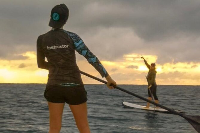 Learn Paddle Board and Explore the Mangroves of Progreso - Weather and Scheduling: Why Timing Matters Here