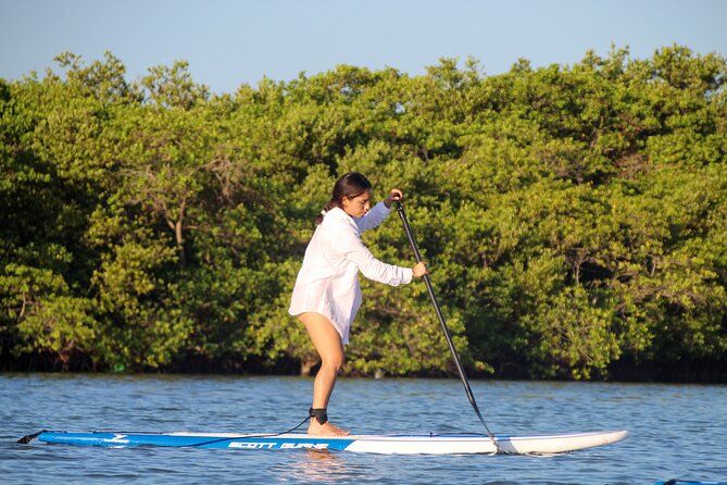 Learn Paddle Board and Explore the Mangroves of Progreso - Should You Book This Progreso Mangrove Paddle Board Tour?
