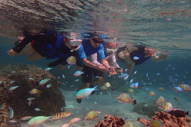 Learn to Stand Up Paddleboard! Includes 5 Star Snorkeling Tour! - Gear Details That Actually Affect Your Day