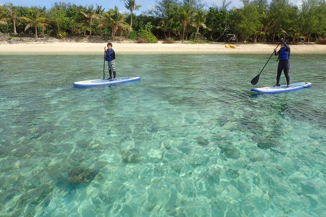 Learn to Stand Up Paddleboard! Includes 5 Star Snorkeling Tour! - Pickup, Getting There, and Why It Can Save You Money