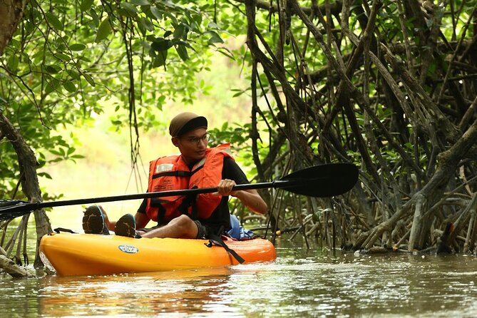 Lebam River Kayaking Adventure - Key Highlights You’ll Feel Immediately