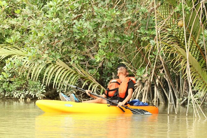 Lebam River Kayaking Adventure - Entering Mangrove Country: Your 10:45am to 1:00pm Kayak Section