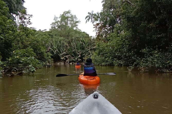 Lebam River Kayaking Adventure - Price and Value: What $78.20 Really Covers