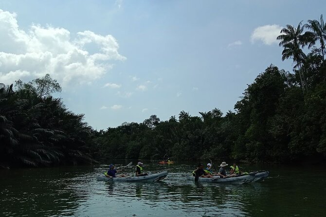 Lebam River Kayaking Adventure - Small Group Energy With JungleWalla Tours