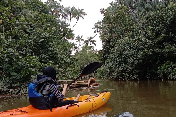 Lebam River Kayaking Adventure - The Upstream Boat Ride: Why This Tour Starts With Wheels on Water