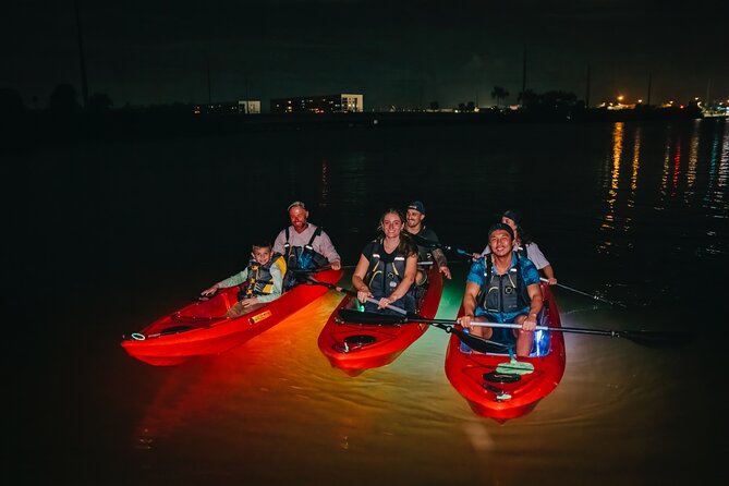 LED Bio Comb Jelly Clear Bottom Kayak or Paddleboard Tour! - Merritt Island at night: why this tour feels special