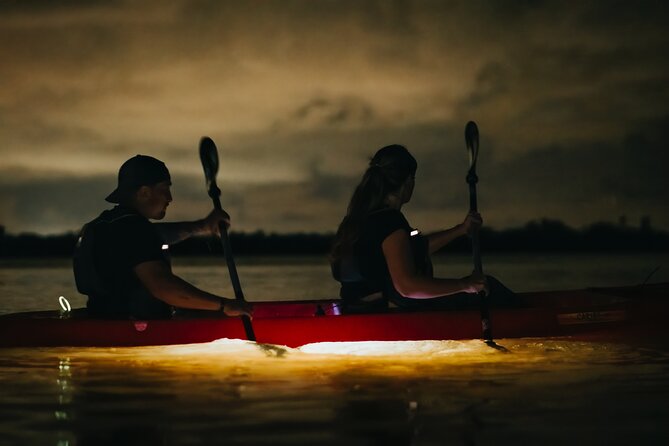 LED Bio Comb Jelly Clear Bottom Kayak or Paddleboard Tour! - Clear-bottom kayak or SUP: which one fits you better