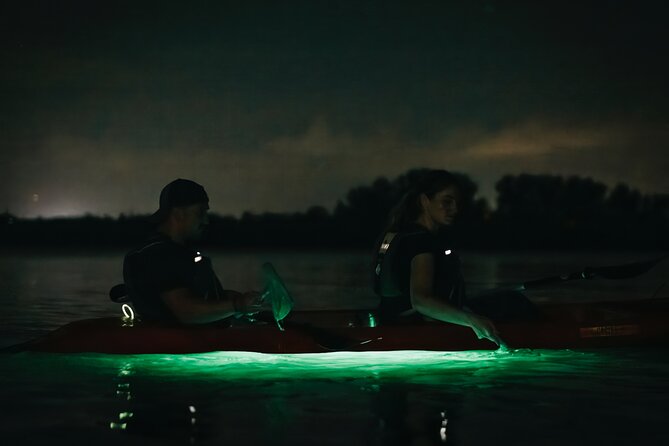 LED Bio Comb Jelly Clear Bottom Kayak or Paddleboard Tour! - The pace and feel of the ride (no surprises, just night sailing)