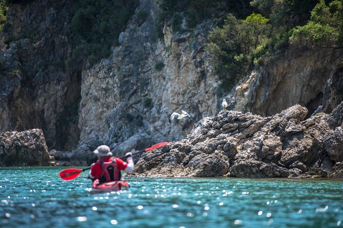 Lefkada Kayak : Explore Blue Cave with a Taste of Greece - Guides and safety: the real reason people feel confident