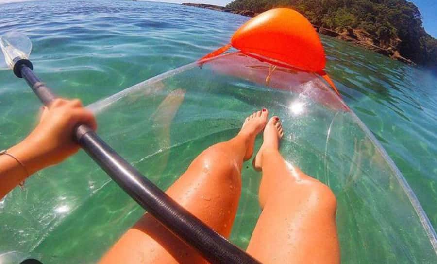 Leigh: Goat Island Clear Kayak Rental - Where You Paddle: Goat Island Marine Reserve’s 800-Metre Offshore Water